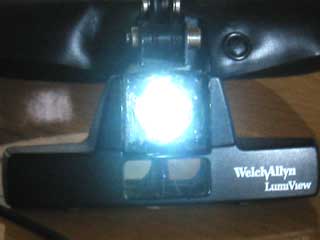 �t���[��